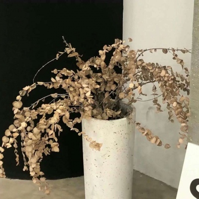 小金福瑞交流群